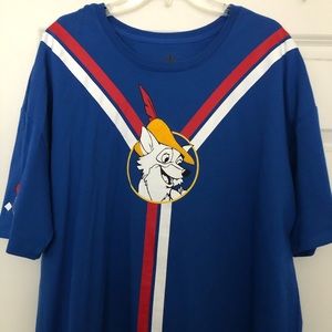 Robin Hood Disney park short sleeve shirt